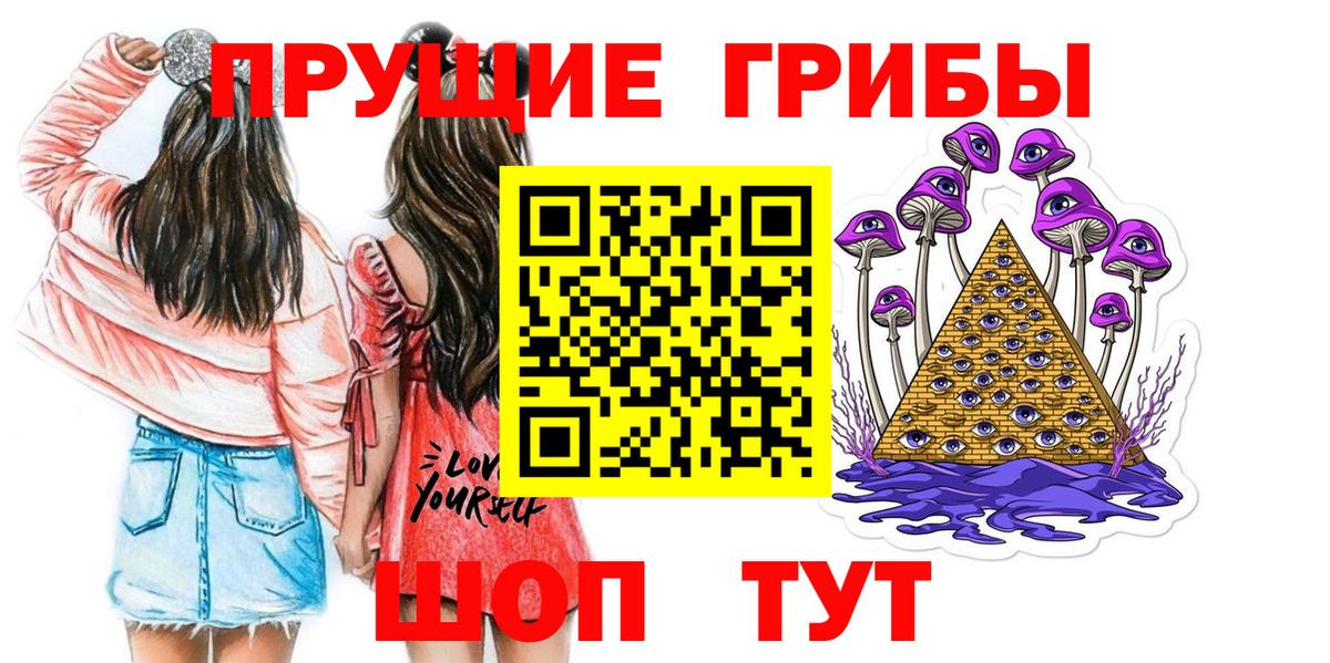 Галлюциногенные грибы Psilocybe Знаменск