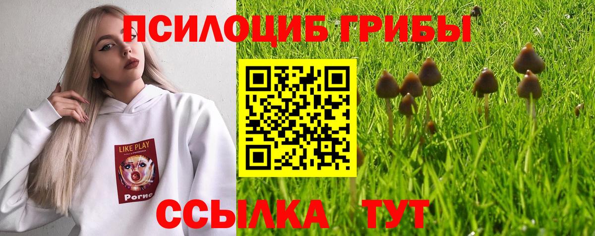 Псилоцибиновые грибы мухоморы  Вход с VPN  Знаменск 
